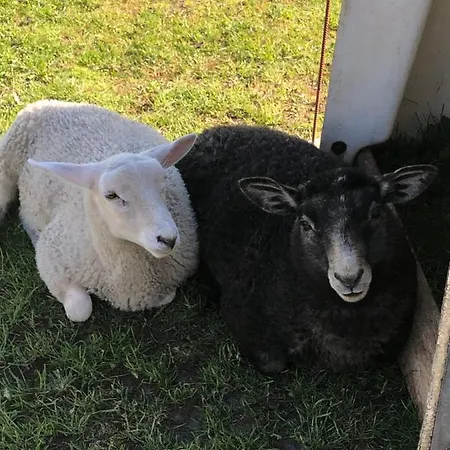 Bb-vadehavet Til 6 Personer Ved Nationalpark Vadehavet Lejlighed