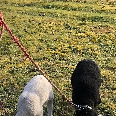 Bb-vadehavet Til 6 Personer Ved Nationalpark Vadehavet * Ribe