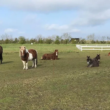 Bb-vadehavet Til 6 Personer Ved Nationalpark Vadehavet * Ribe