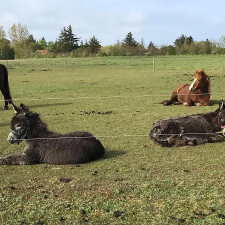 شقة Bb-vadehavet Til 6 Personer Ved Nationalpark Vadehavet *